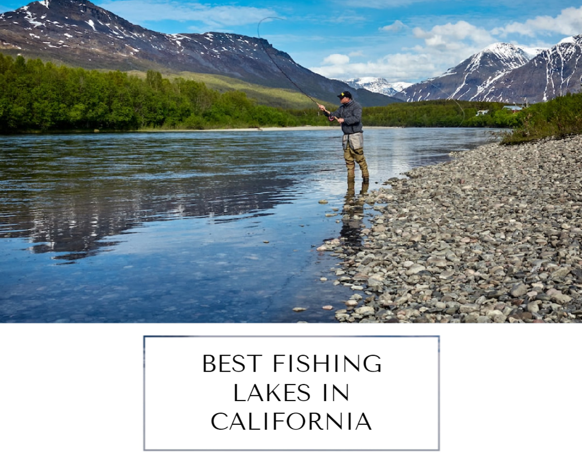 15 Best Fishing Lakes In California - Splash Explore