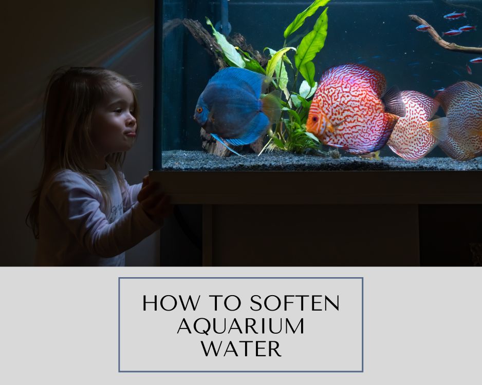 How to Soften Aquarium Water