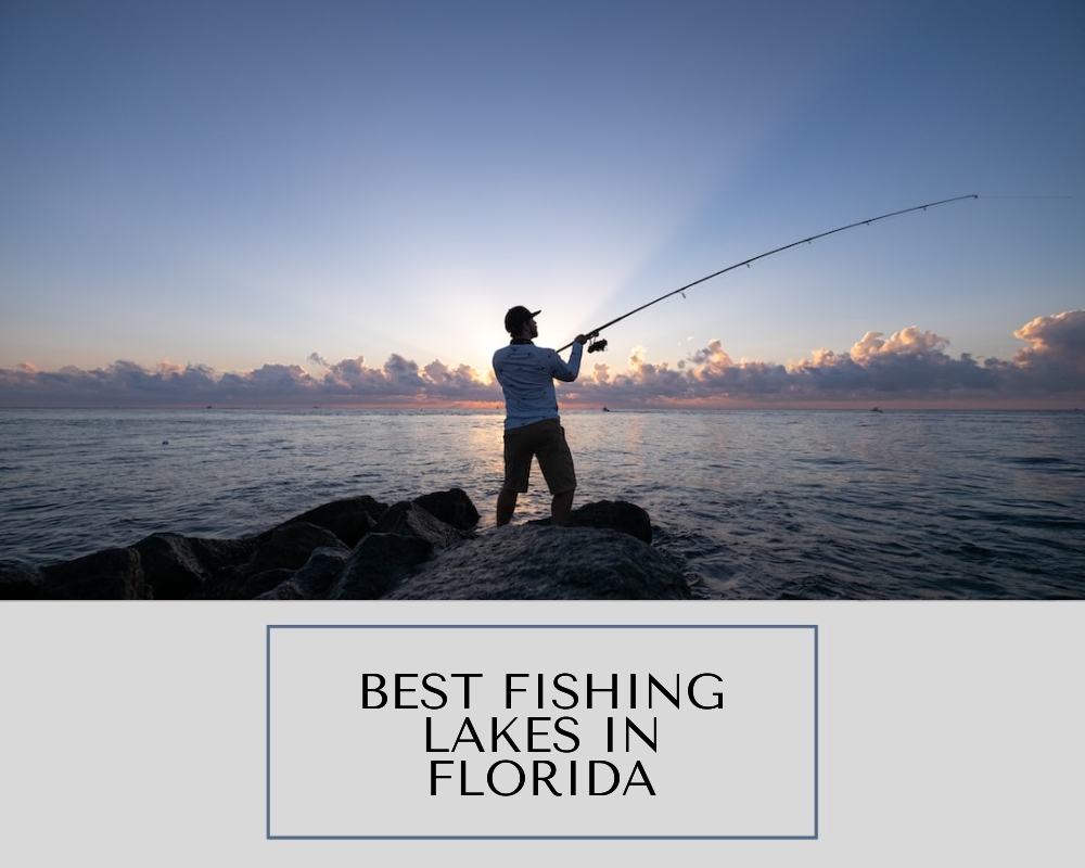Best Fishing Lakes in Florida