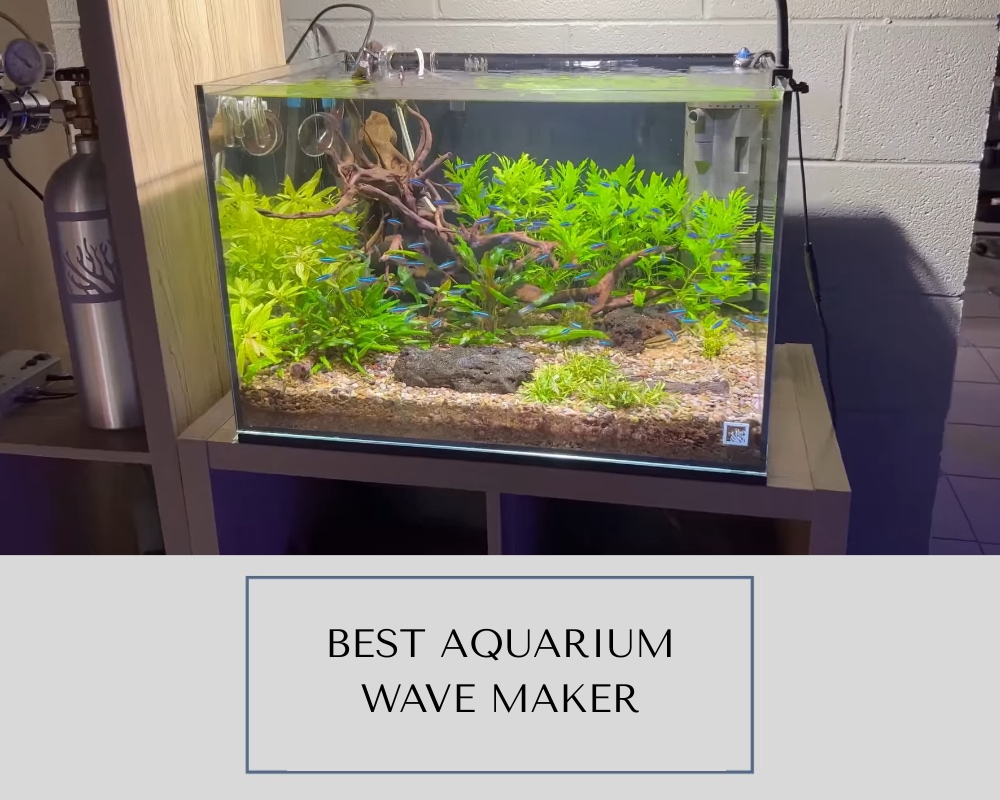 Best Aquarium Wave Maker