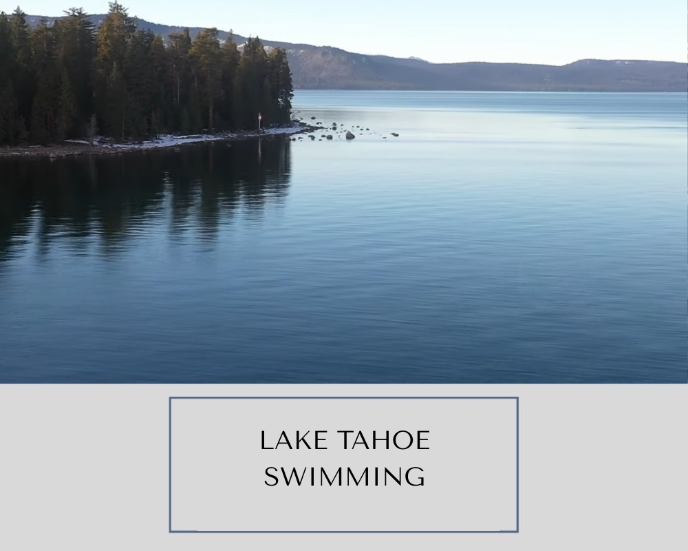 Can You Swim in Lake Tahoe