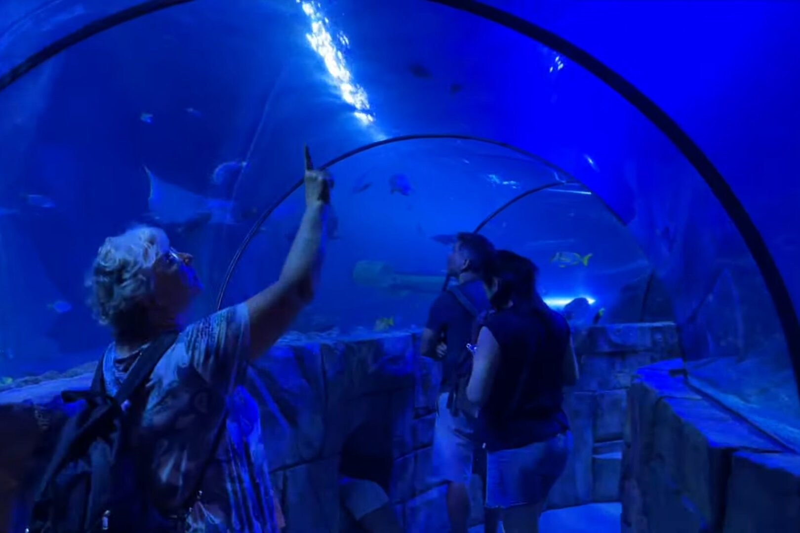 SEA LIFE Aquarium at Legoland California